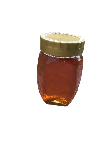 Premium Choti Makhi Jujube Trees Organic Sidr Honey (بیری شہد)